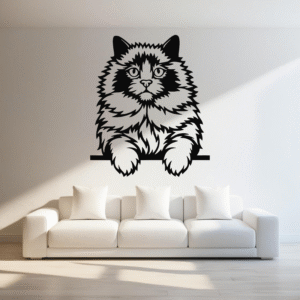 Gato Esponjoso