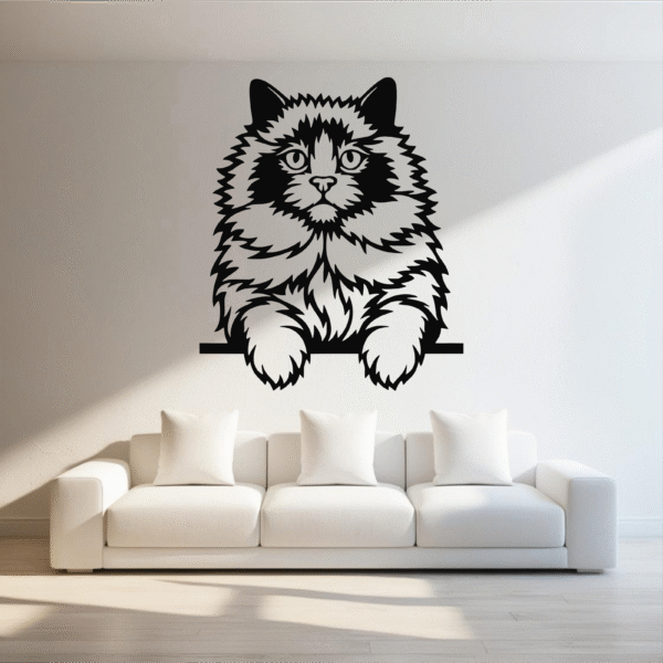 Gato Esponjoso